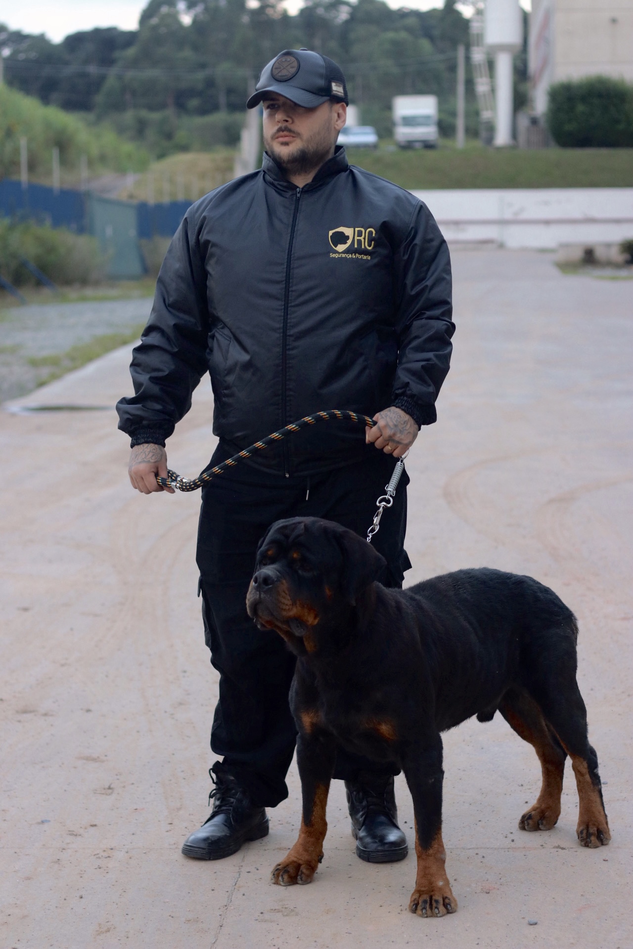 Cães treinados